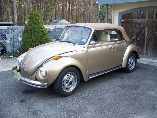 New Metallic Beige Paint, Top, Headliner