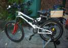 Mongoose TEOCALI COMP EV 