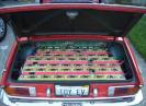 8 batteries in the trunk