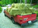 Ten bales of hay
