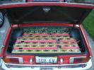 LiFePO batteries in the trunk
