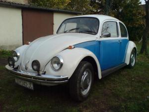 Day when beetle was bought