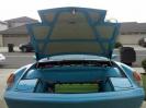 Fiberglass hood and front bumper